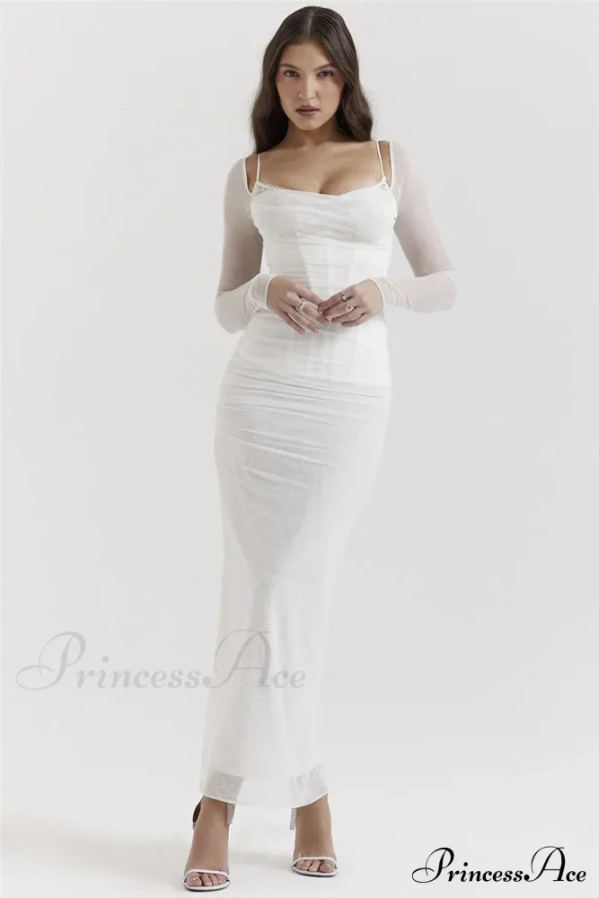 Sheer Long Sleeve Charming Bodycon Maxi Dress