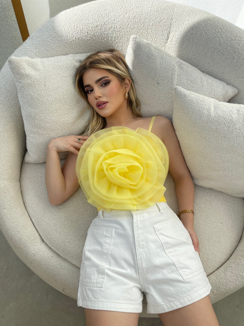 CROP ME LULE