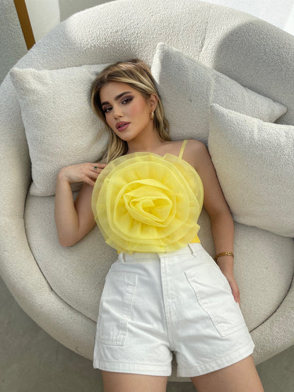 CROP ME LULE