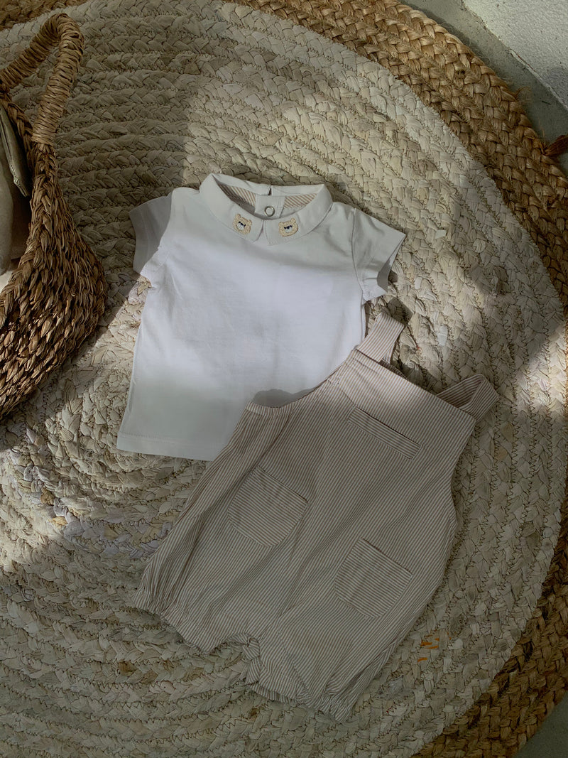 SET LINO BLUZE DHE PALICETA