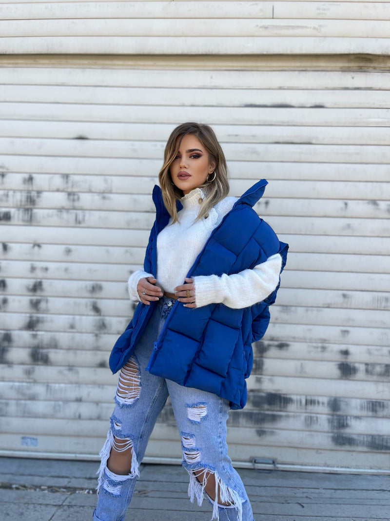 JELEK PUFFER