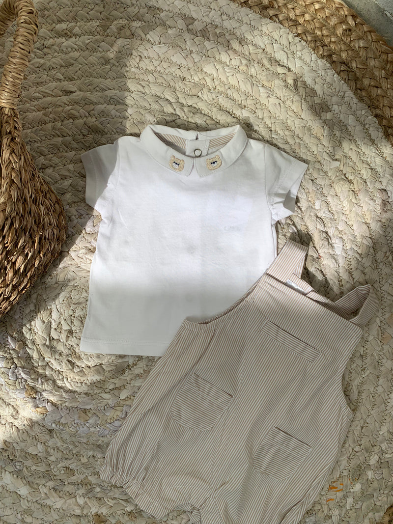 SET LINO BLUZE DHE PALICETA