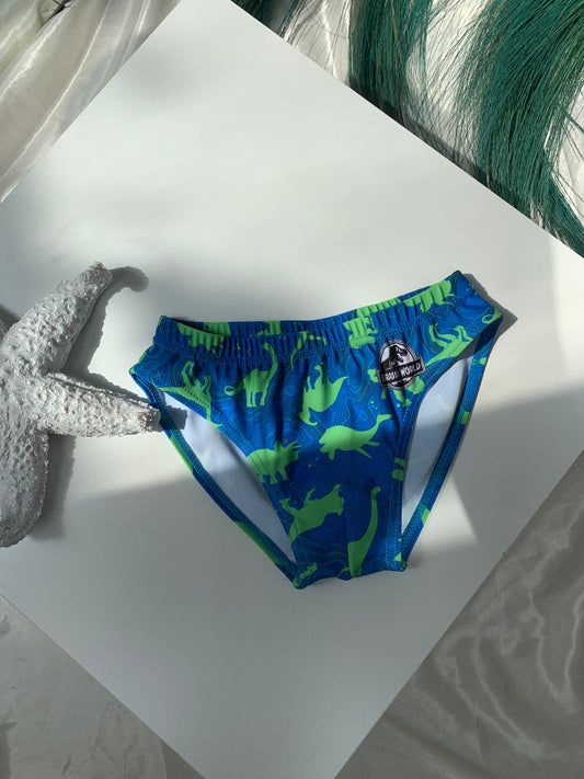 MBATHJE PLAZHI PER DJEM