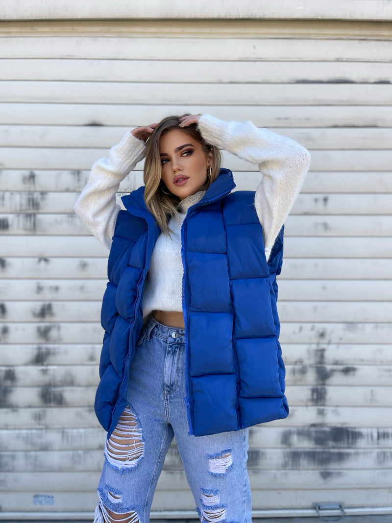 JELEK PUFFER