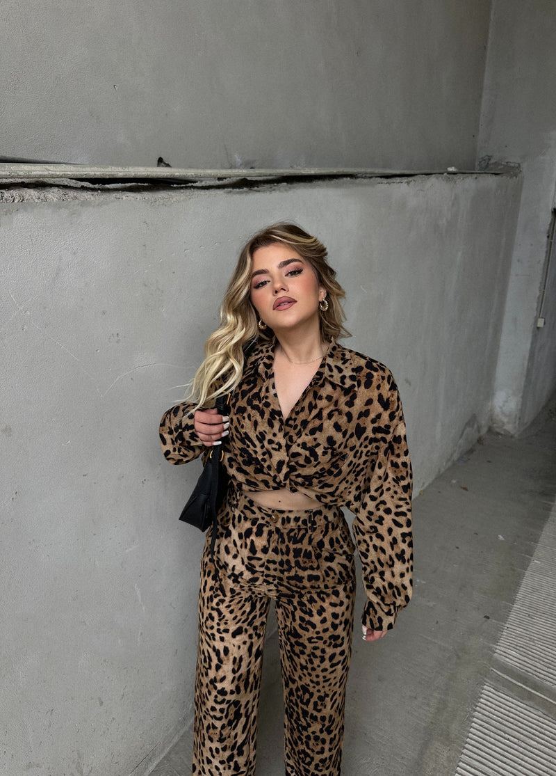 SET LEOPARD